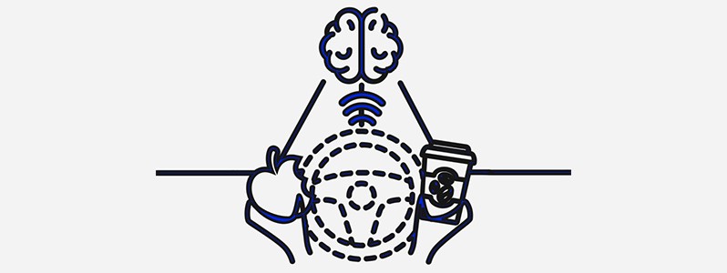 Livello 5 – Guida autonoma